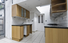 Lustleigh kitchen extension leads
